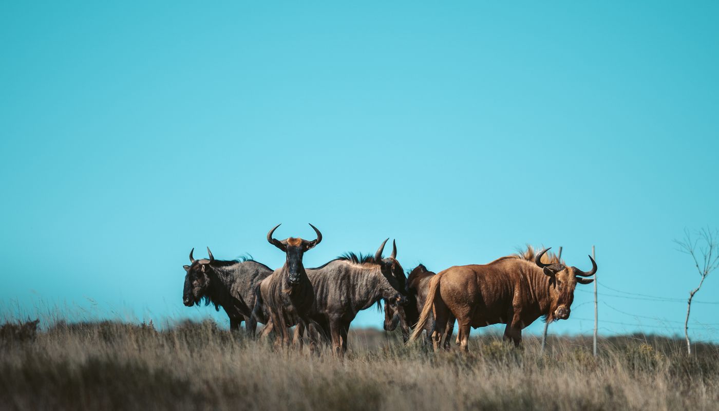 Tanzania